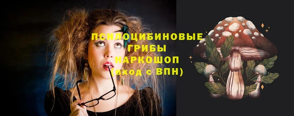 стаф Алексеевка