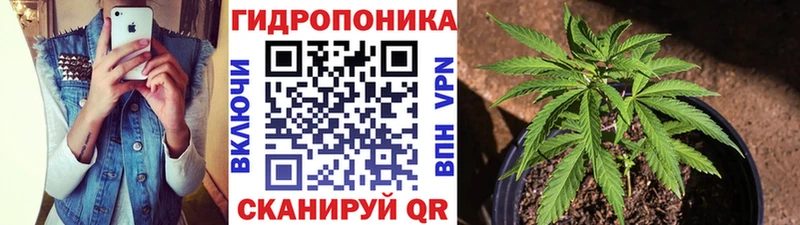 цены Покачи Шишки марихуана тримм